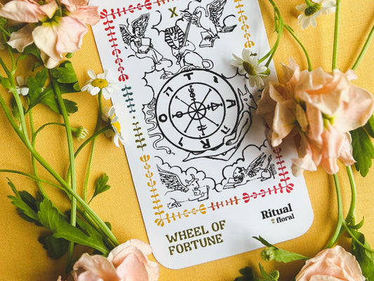 Tarot Bouquet Meanings: Send Flowers to Milwaukee With a Deeper Message