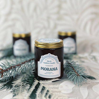 A candle in brown glass with a white label that reads "Morana" displayed with blue evergreens and white dried ferns