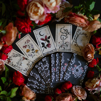 Ophidia Rosa Tarot Deck