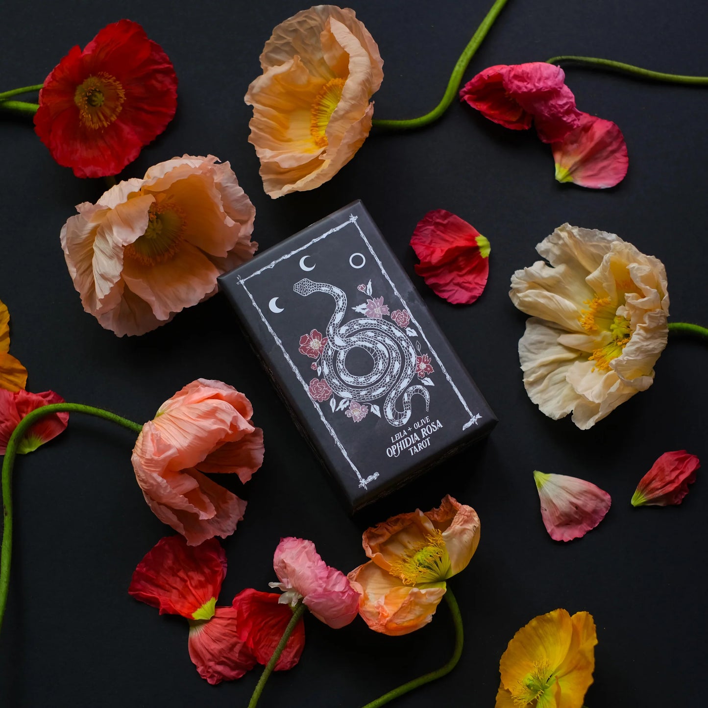 Ophidia Rosa Tarot Deck