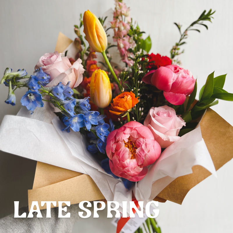 Seasonal late spring bouquet featuring peonies and tulips