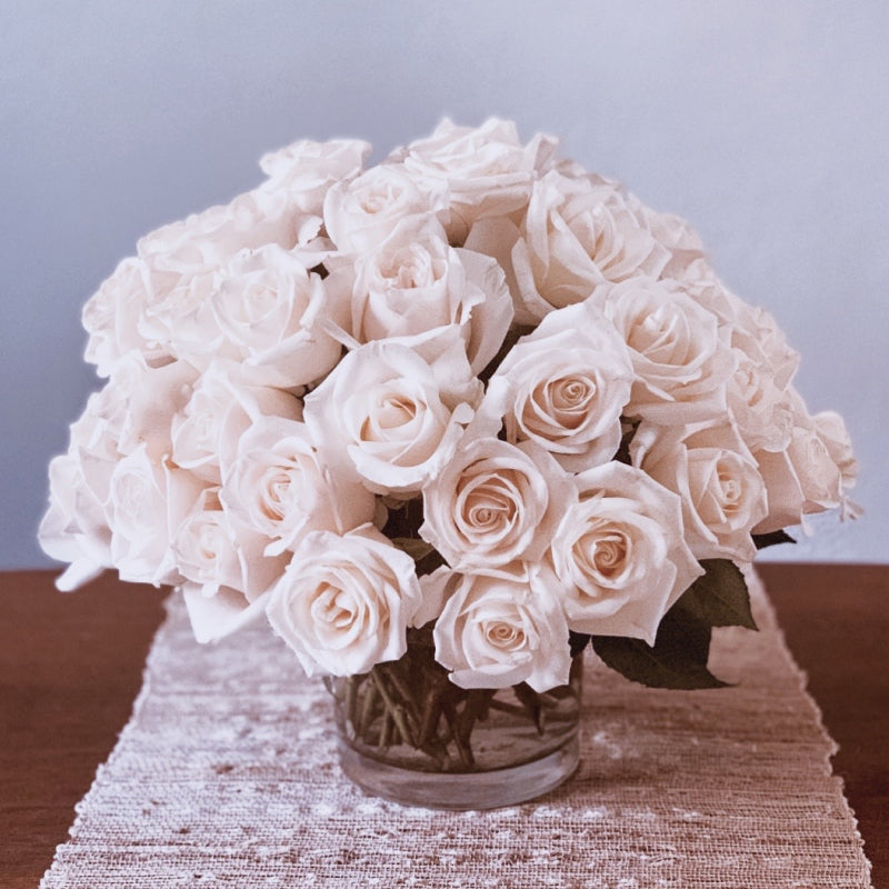 A large arrangement of 4 dozen white roses in a dome shape